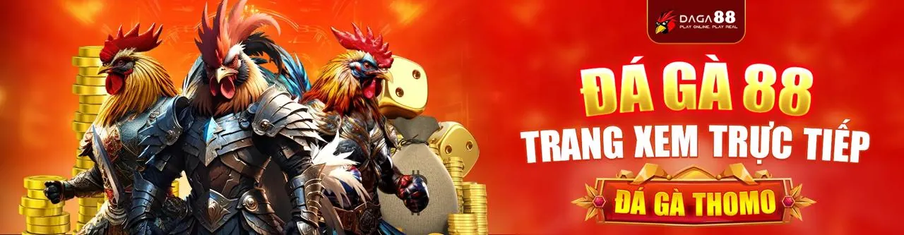 Chơi game và tích lũy điểm tại vn666 casino