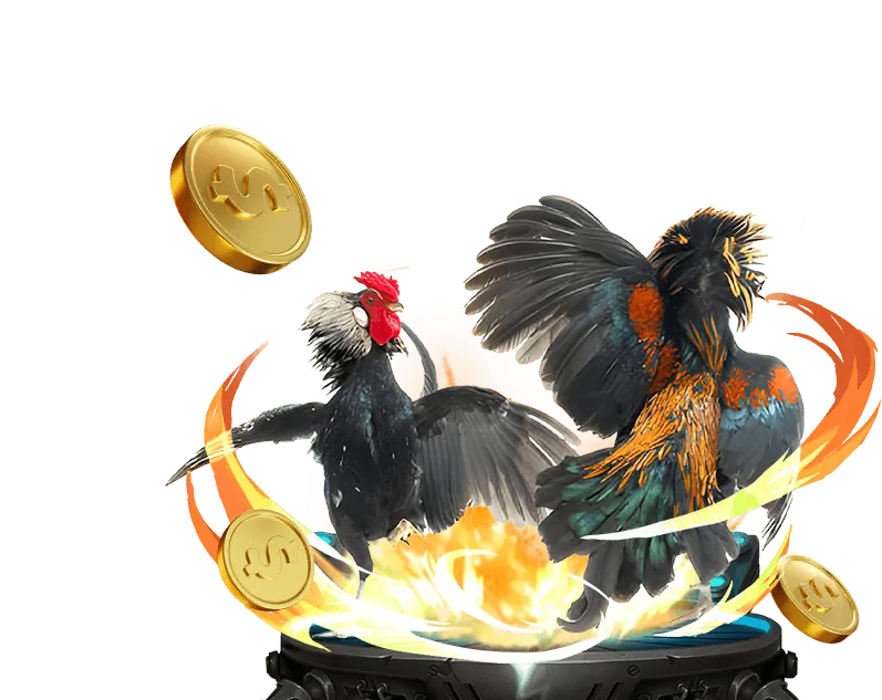 Đội ngũ vn666 casino làm việc trong môi trường hiện đại